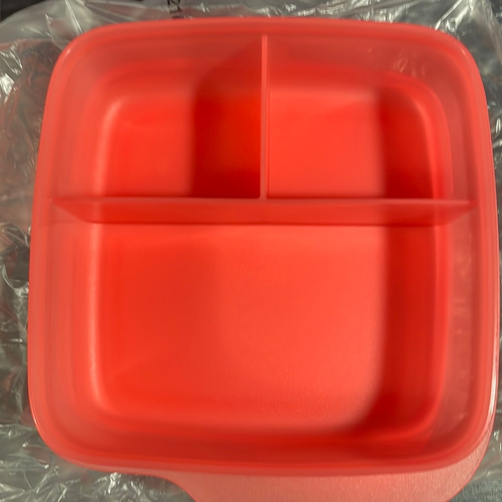 Divided lunch container